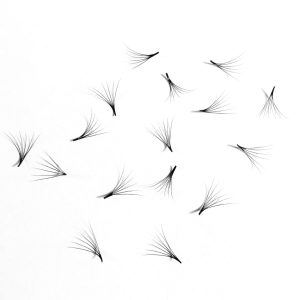 Premade Fans 6D C Curl (250)