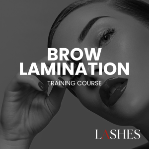Eyebrow Lamination Training Course